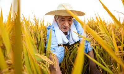 距离2020年秋分还有多少天？秋分是什么节日？