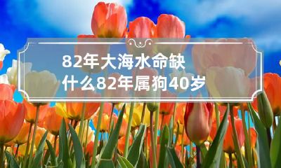 82年大海水命缺什么 82年属狗40岁三大坎坷