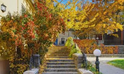 小寒节气出生的生肖属羊的人命运好不好？