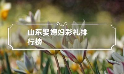 山东娶媳妇彩礼排行榜