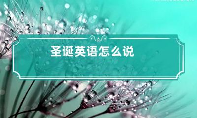 圣诞英语怎么说