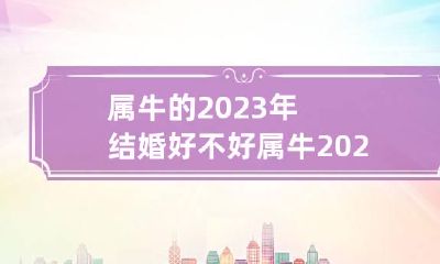 属牛的2023年结婚好不好 属牛2023年结婚好吗