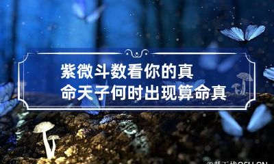 紫微斗数看你的真命天子何时出现 算命真命天子什么时候出现