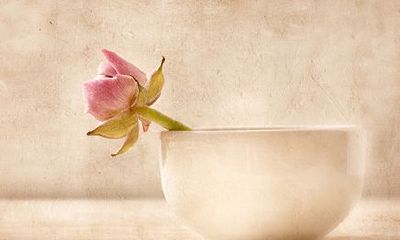 属鸡水瓶座2022年运势