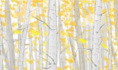 2021年1999年属兔人的全年运势 22岁属兔男运势分析