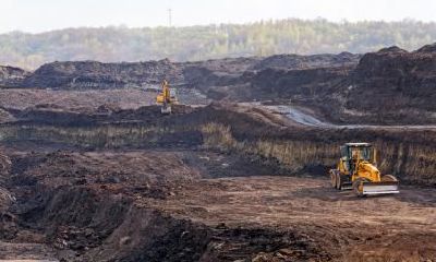 2020年农历四月十九出生的女孩五行喜什么？如何起名？