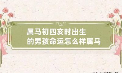属马初四亥时出生的男孩命运怎么样 属马早上4点出生好吗