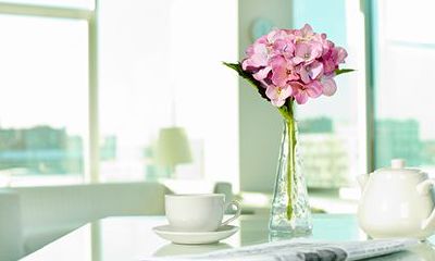 属鸡处女座2022年运势