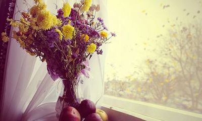 属鸡天蝎座2022年运势