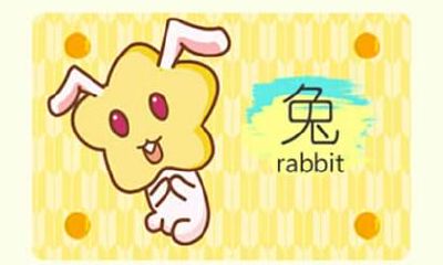 1951年属兔的人2021年运势完整版