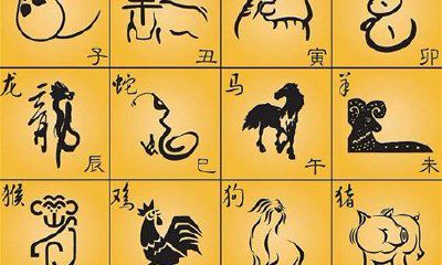 看12生肖何时交好运