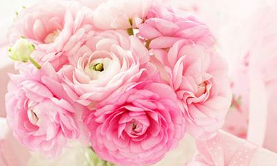 属鸡狮子座2022年运势