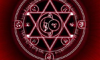 生命灵数看12生肖一生运势旺衰