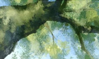 2021年属人的全年运势兔 事业运如何