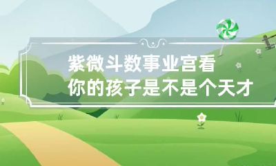 紫微斗数事业宫看你的孩子是不是个天才