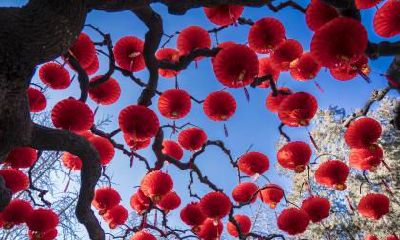 2019年猪年新年祝福语，春节新春祝福语