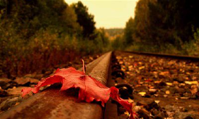 秋天出生的12生肖性格与命运