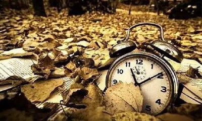 哪些年份12生肖需要特别注意