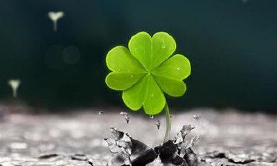 看12生肖天生都有啥好运