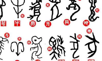 由出生月份看12生肖命运走向