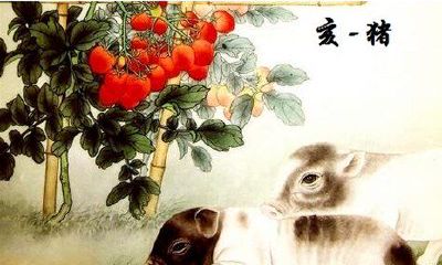 老人都说属猪人出生在这几个年份命最好