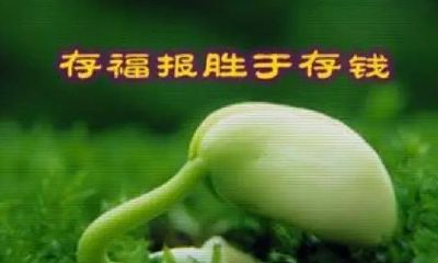 天生爱做好事，会获得很多福报的生肖