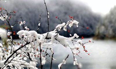 当心！12生肖年末可能会遭遇这些“风波”