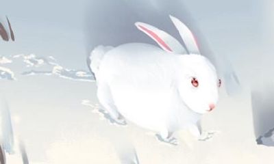 75年属兔2021年人的全年运势 桃花运如何