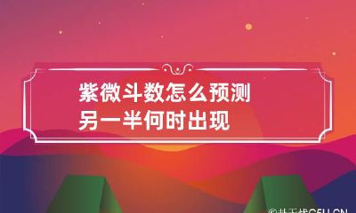 紫微斗数怎么预测另一半何时出现