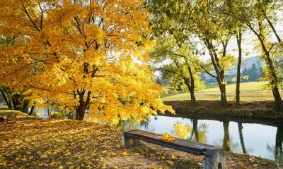 2020年5月5日立夏节气黄历吉凶宜忌查询，5月5日卦象吉凶