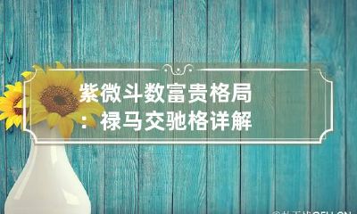 紫微斗数富贵格局：禄马交驰格详解