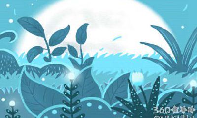 生肖兔适合养什么植物来提升财运？