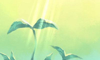 2021年属兔女被哪个男生宠爱最幸福