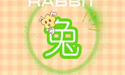 2019猪年属兔女和什么属相最配