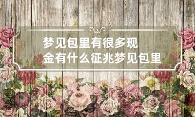 梦见包里有很多现金有什么征兆 梦见包里多了很多现金