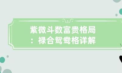 紫微斗数富贵格局：禄合鸳鸯格详解