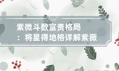 紫微斗数富贵格局：将星得地格详解 紫薇将星得地格