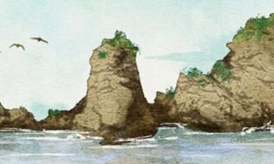 1975年属兔人2021年全年运程 牛年运势如何