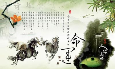 2013年7月出生的人命好吗