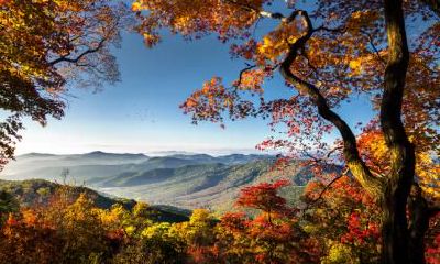 惊蛰节气的含义，惊蛰三候分别是什么意思？