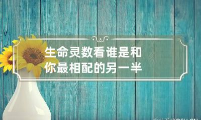 生命灵数看谁是和你最相配的另一半