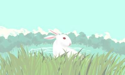 2021年属兔人的命运如何 性格怎么样