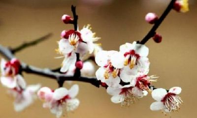 引起婚姻危机的风水安全隐患有什么