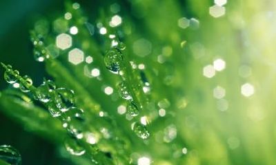 2021年3月5日惊蛰结婚好不好？结婚吉日怎么选择？