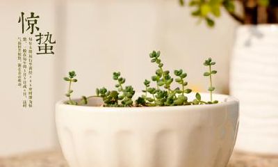 2021年惊蛰是哪一天几点几分？惊蛰有什么禁忌？