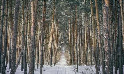 2020年农历五月初五五行缺土女孩名字大全