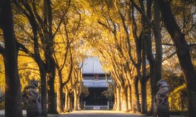 冬至节气南方吃什么？冬至日气温特点是什么？