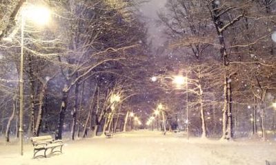 冬至团是什么？冬至吃什么传统食物？