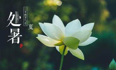 惊蛰节气之后是什么节气？2021年惊蛰祝福语怎么说？