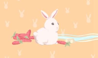 属兔人2021年牛年的运势 事业运如何